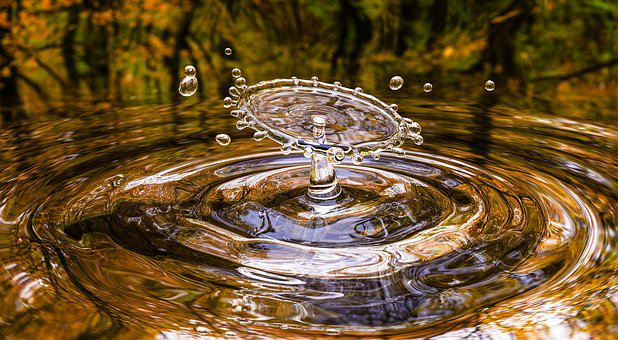 Science and Nature
