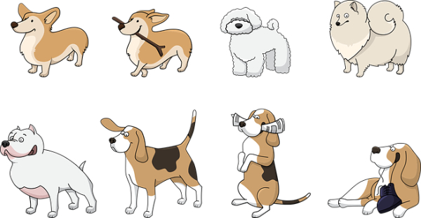 The World Of Dogs