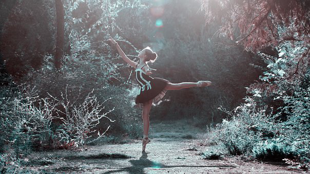 The World Of Ballet