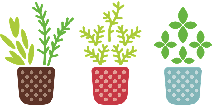 Anagrams Of Herbs And Spices