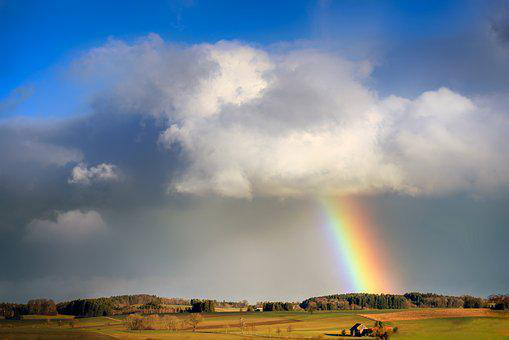 Weather Trivia