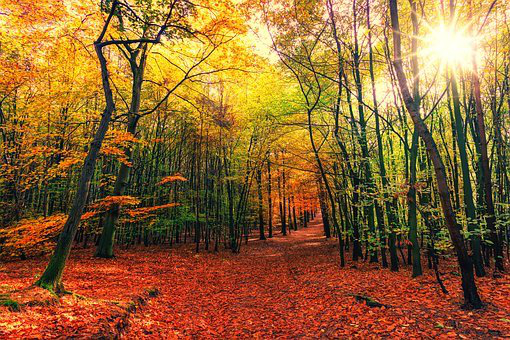 Mising Vowels Of Words Connected To Autumn