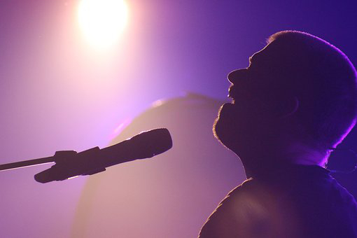 Missing Vowels Of 20 Famous Male Singers