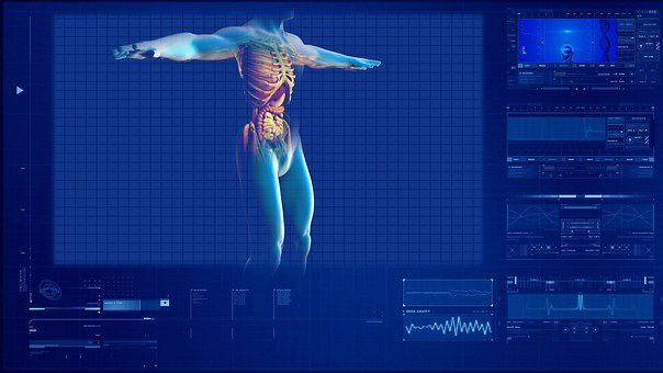 Further Human Anatomy