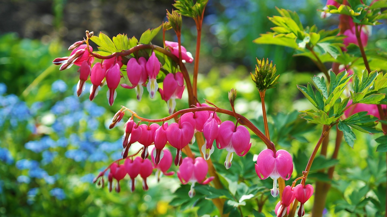 Anagrams Of Products Used In Gardens